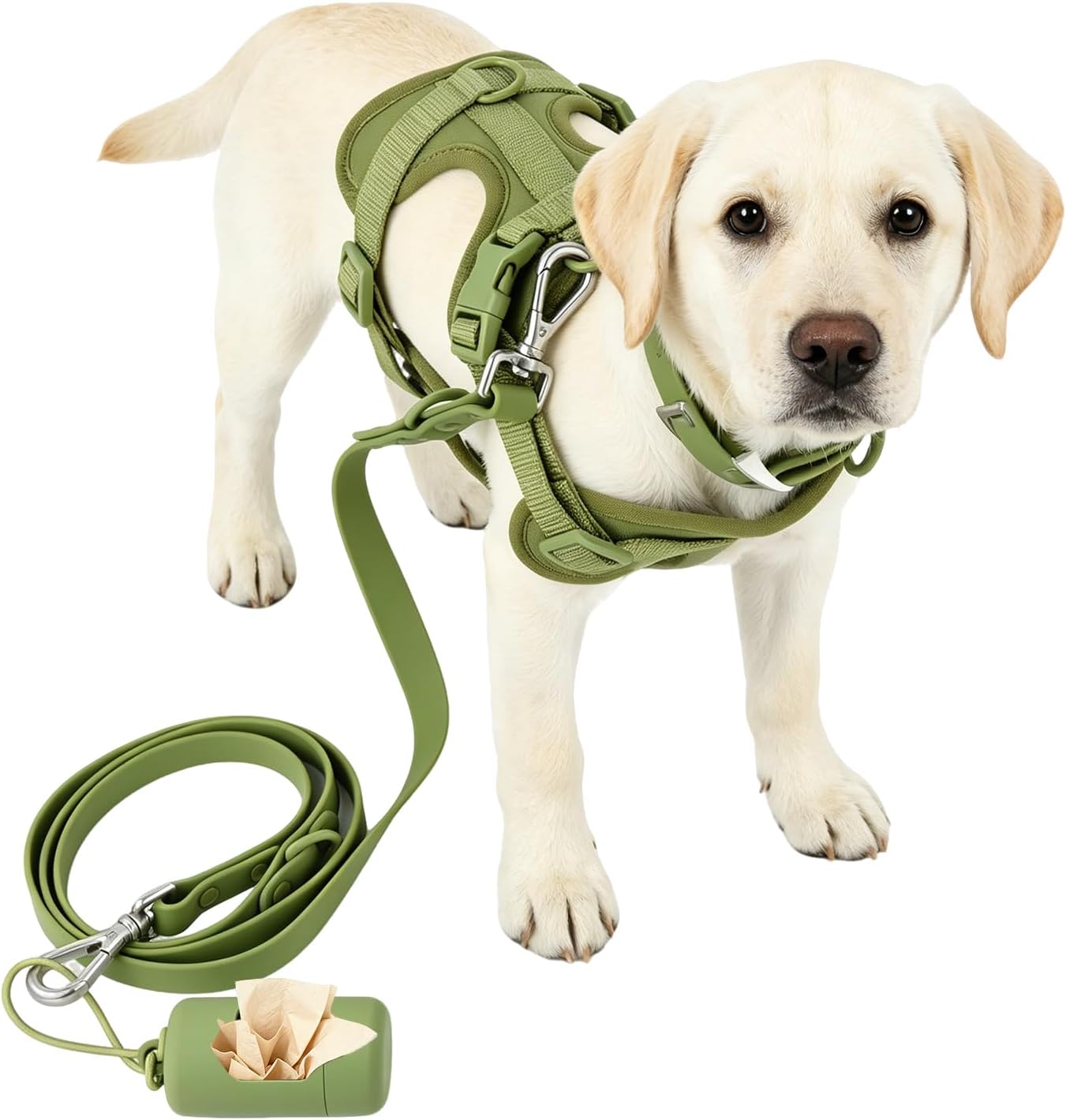 4 in 1 No Pull Dog Harness Set with Collar, Leash and Poop Bag, Medium