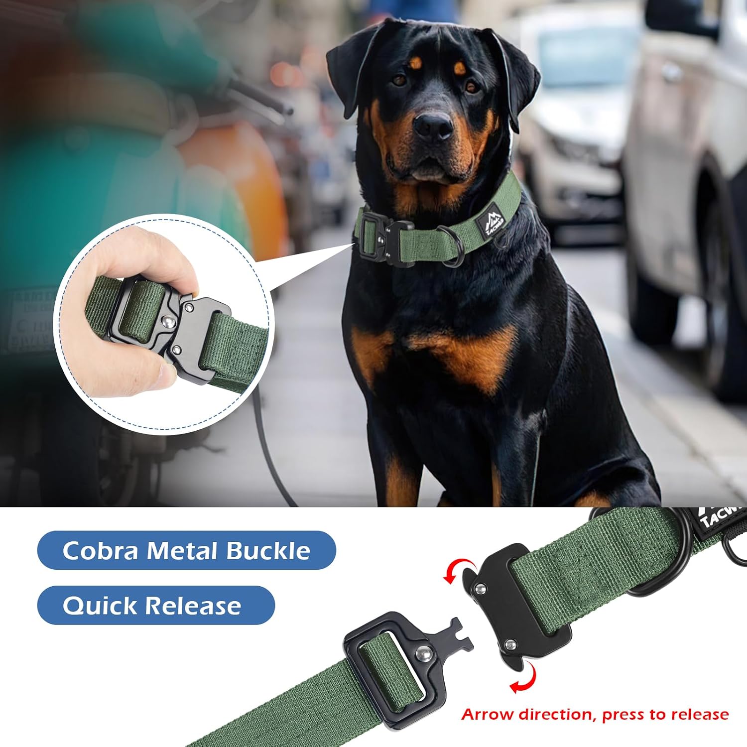 Adjustable Nylon Dog Collar with Metal Buckle, Dark Green, Large