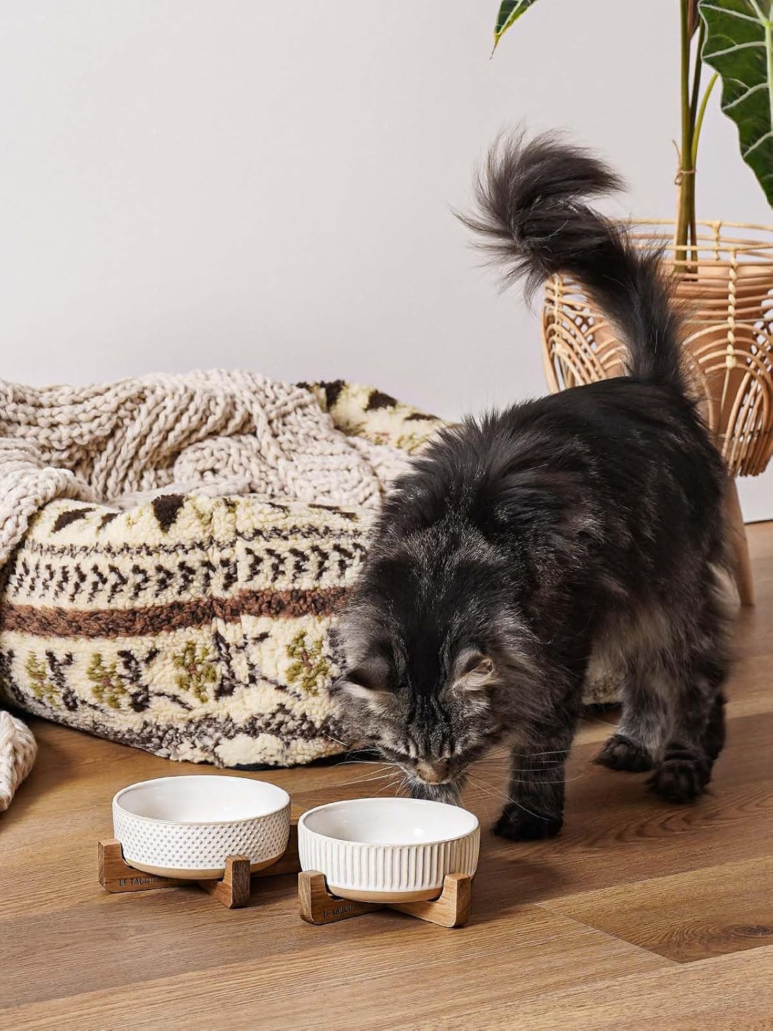 Ceramic Dog and Cat Bowl Set with Acacia Wood Stand, 2 Cup