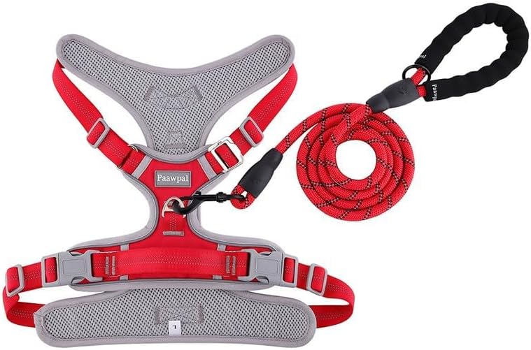 Dog Harness and Leash Set, Adjustable Vest with Collar