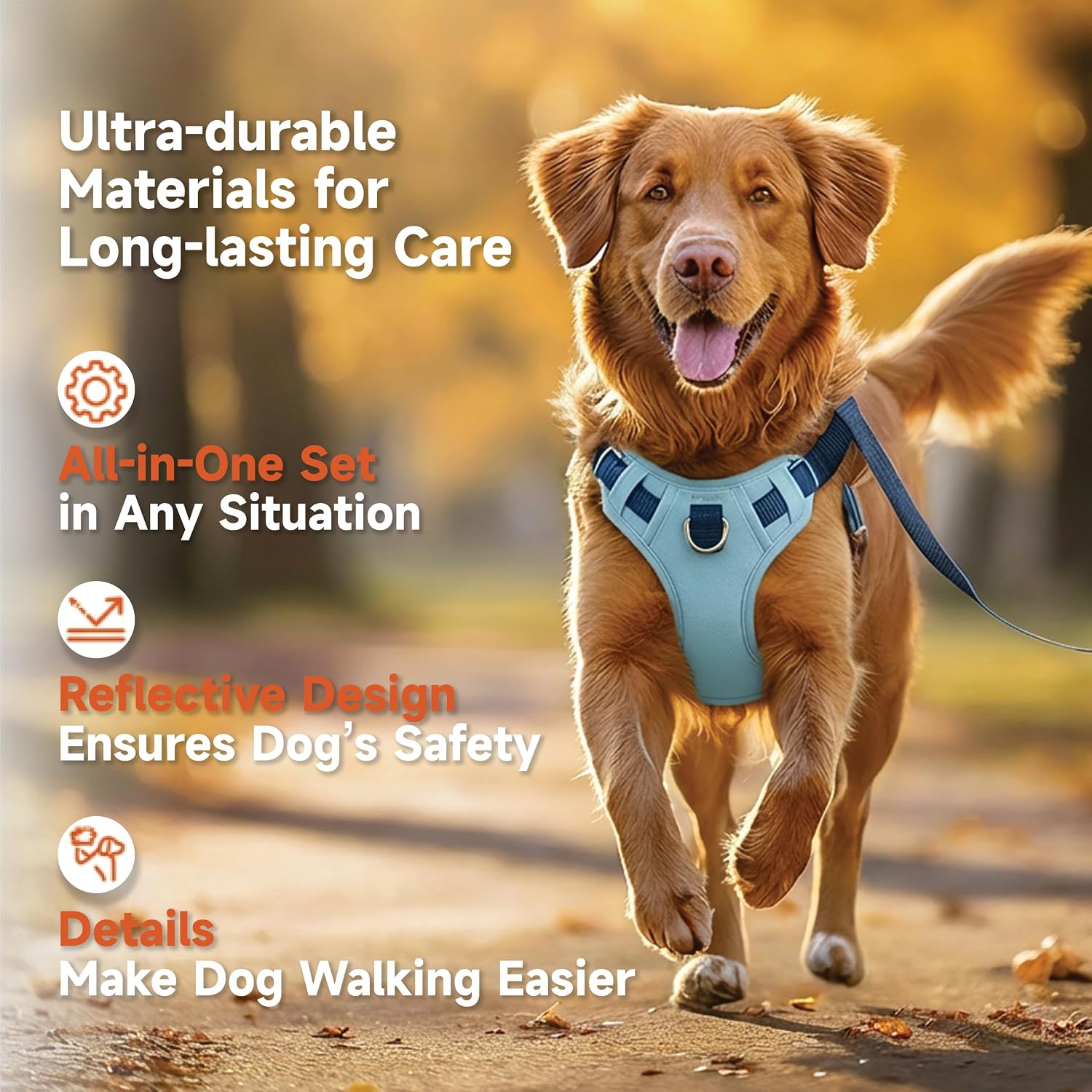 Dog Harness and Leash Set with Collar and Control Handle