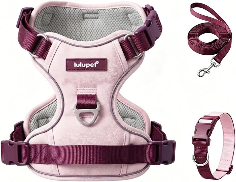 Dog Harness and Leash Set with Collar, Reflective with Control Handle