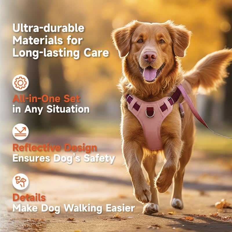 Dog Harness and Leash Set with Collar, Reflective with Control Handle