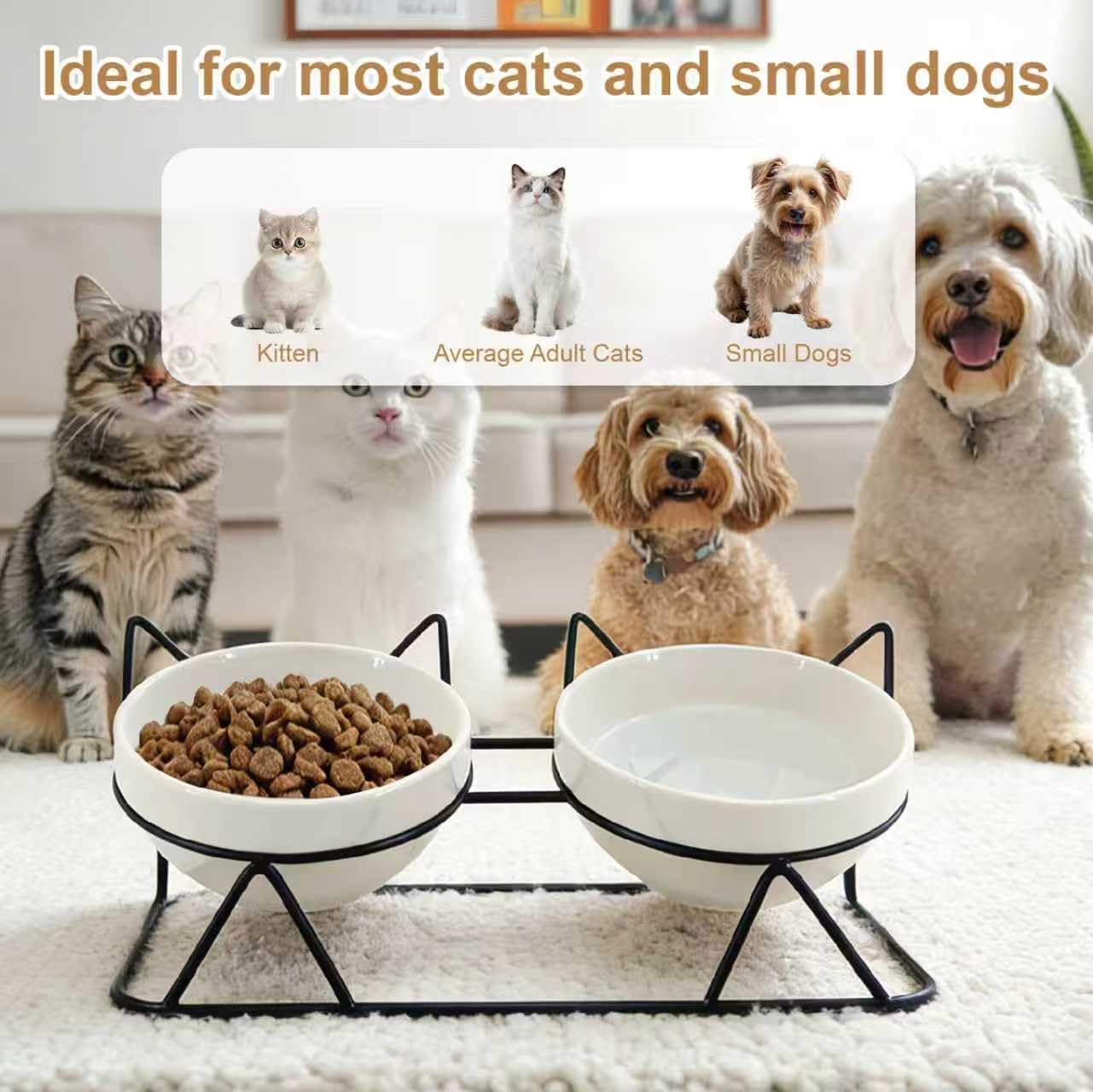 Elevated Tilted Ceramic Cat Bowl, 15 Degree Angle