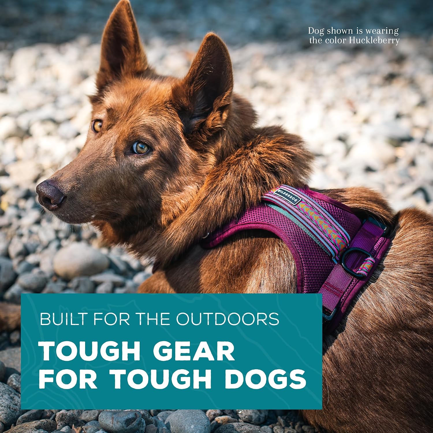 Lightweight Dog Harness with Reflective Straps, Medium