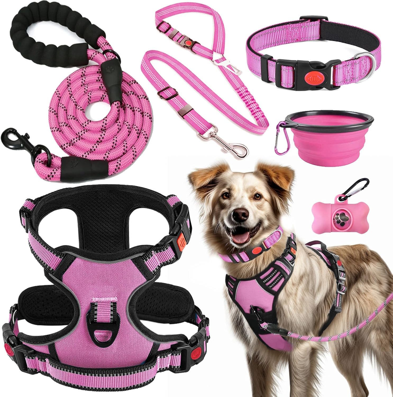 No Pull Dog Harness, Collar and Leash Set with Travel Accessories