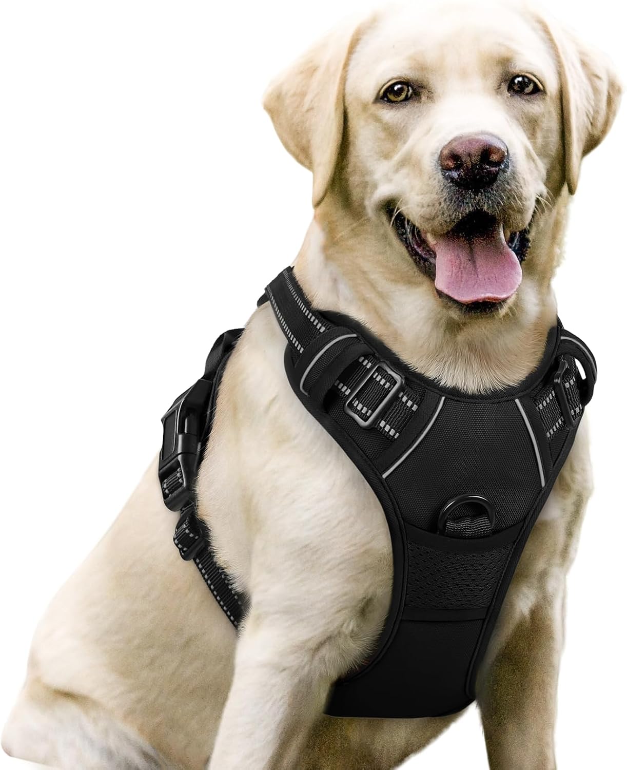No Pull Dog Harness for Large Dogs with 2 Leash Clips and Handle