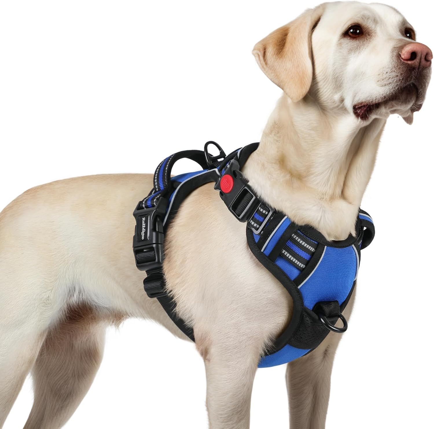 No Pull Dog Harness for Large Dogs with 3 Buckles and 2 Clips