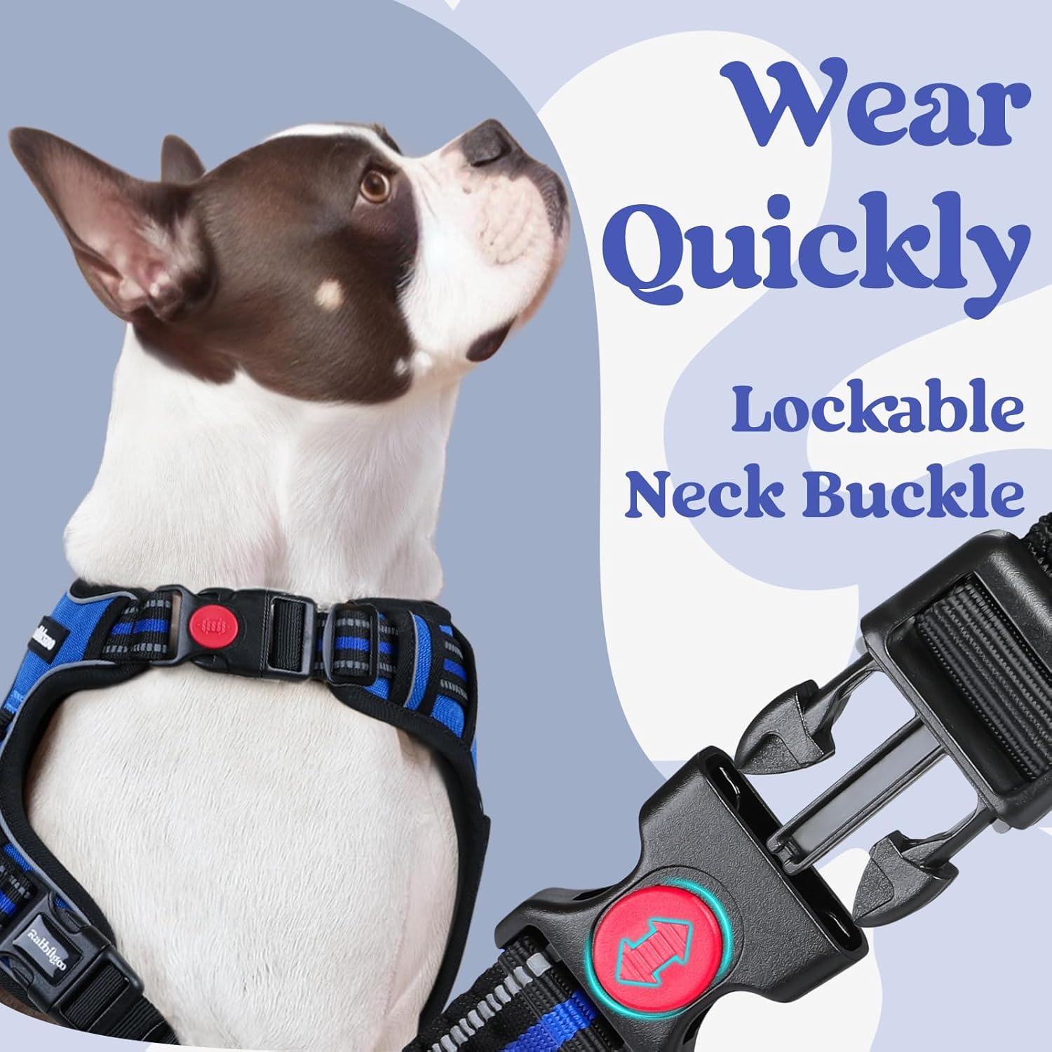 No Pull Dog Harness for Large Dogs with 3 Buckles and 2 Clips