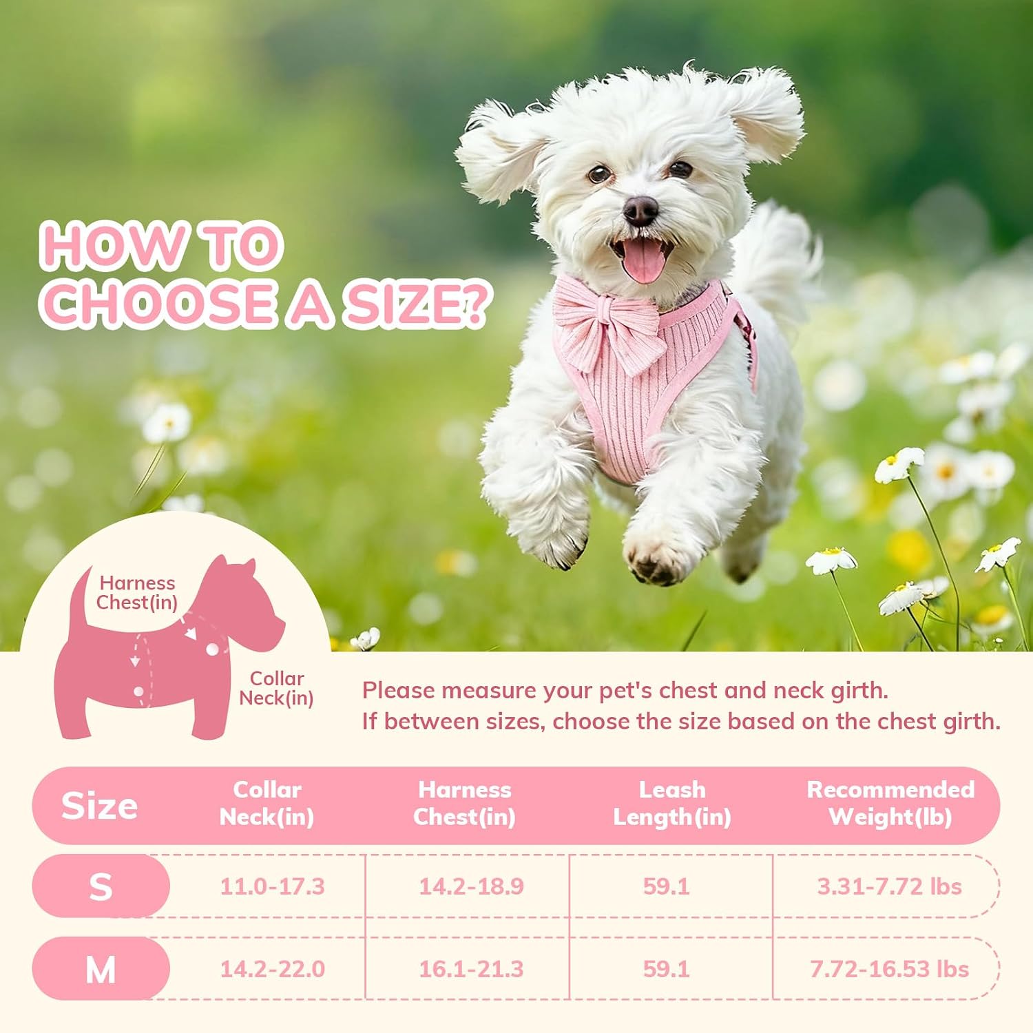 Small Dog Collar, Harness and Leash Set in Breathable Cotton