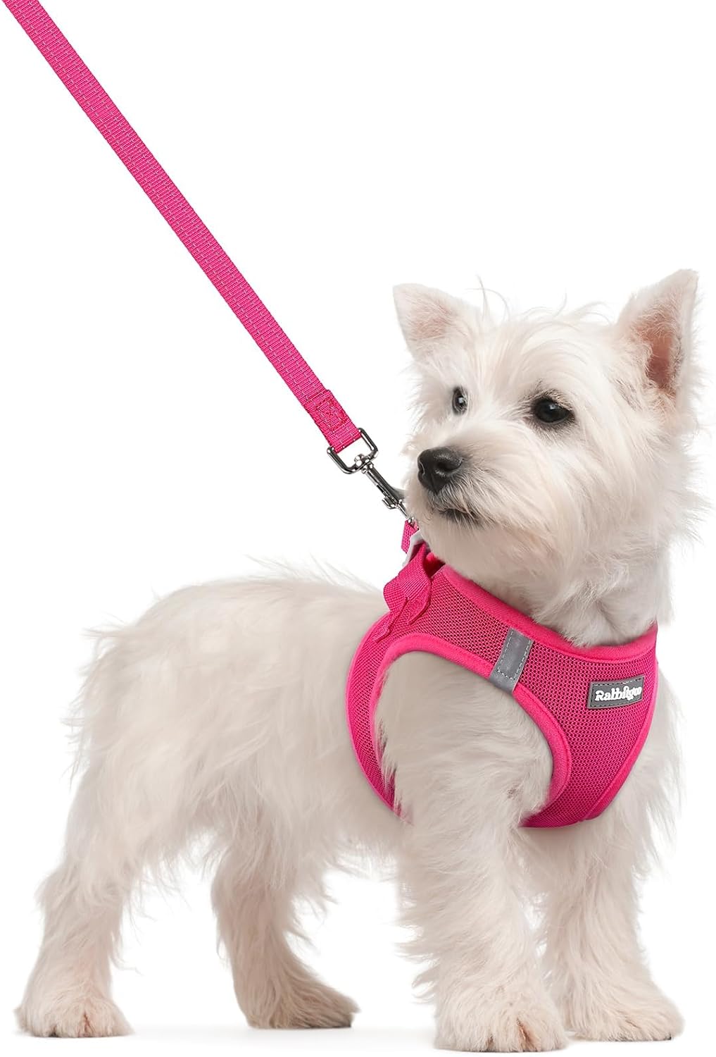 Step In Dog Harness and Leash Set for Small Dogs, Air Mesh