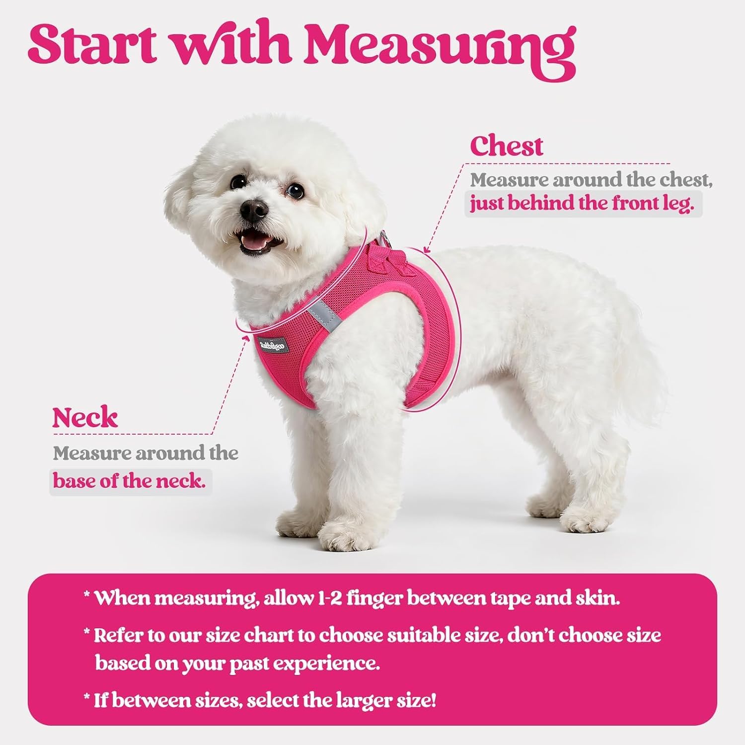 Step In Dog Harness and Leash Set for Small Dogs, Air Mesh