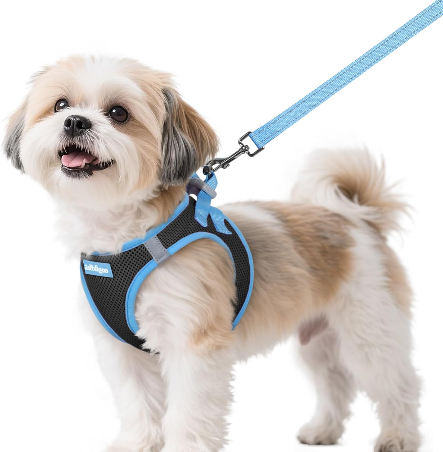 Step In Dog Harness and Leash Set for Small Dogs, Soft Vest