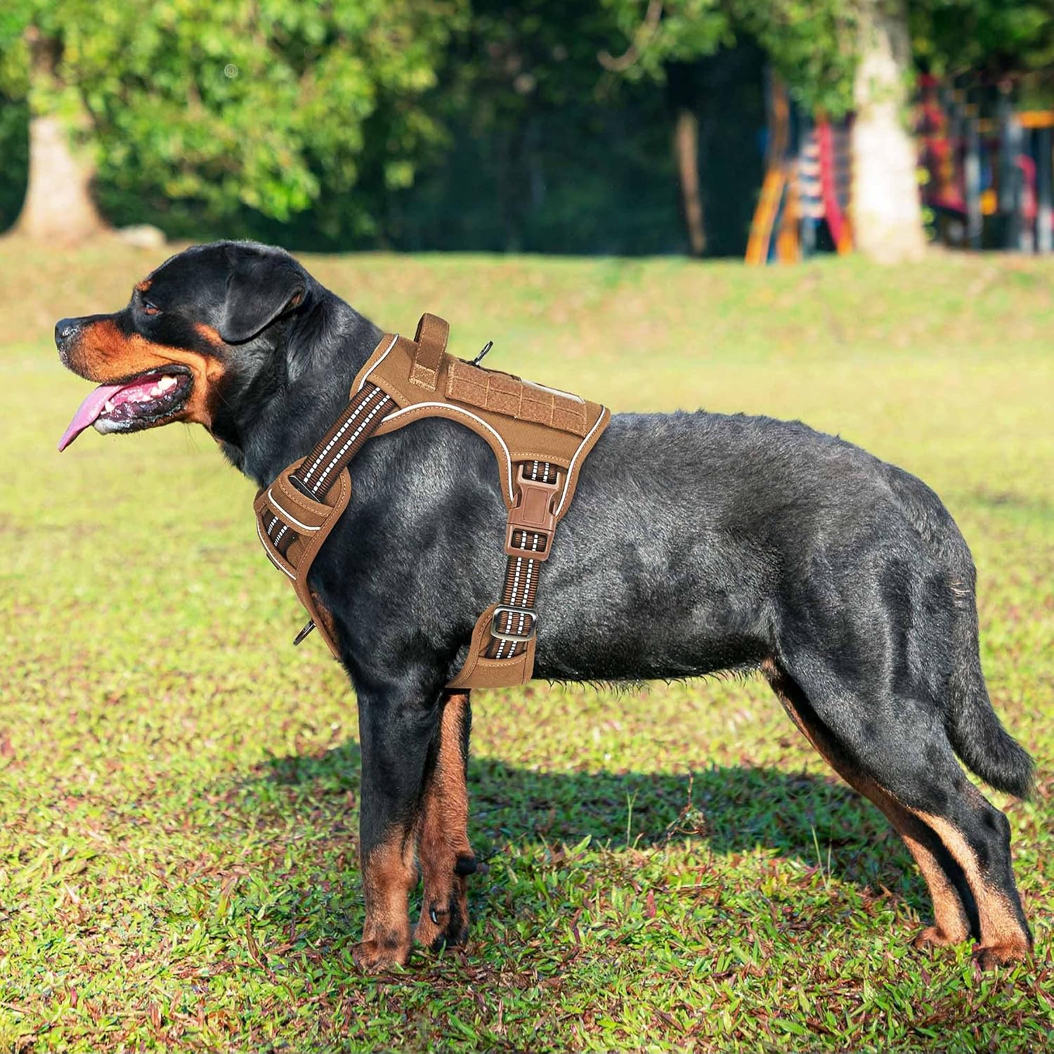 Tactical Dog Harness for Small Dogs, No Pull and Reflective